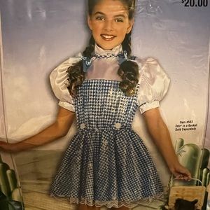 Wizard of Oz Dorothy costume